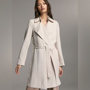 Aritzia Babaton Maximo Trench Coat